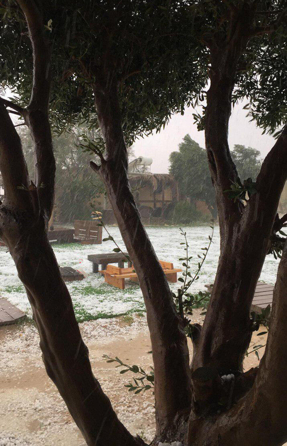 Hail in Dimona