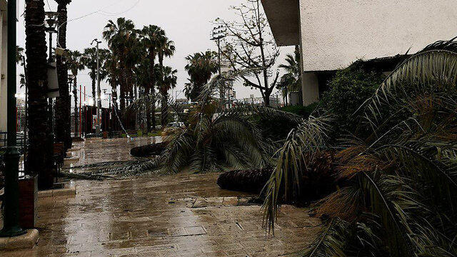 Непогода в Тель-Авиве. Фото: Гила Банай