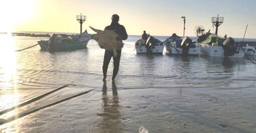 Фото: Ротем Саде