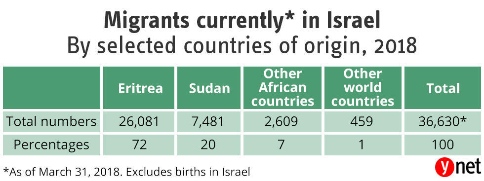 Migrant infographic (Ynet) Migrant infographic