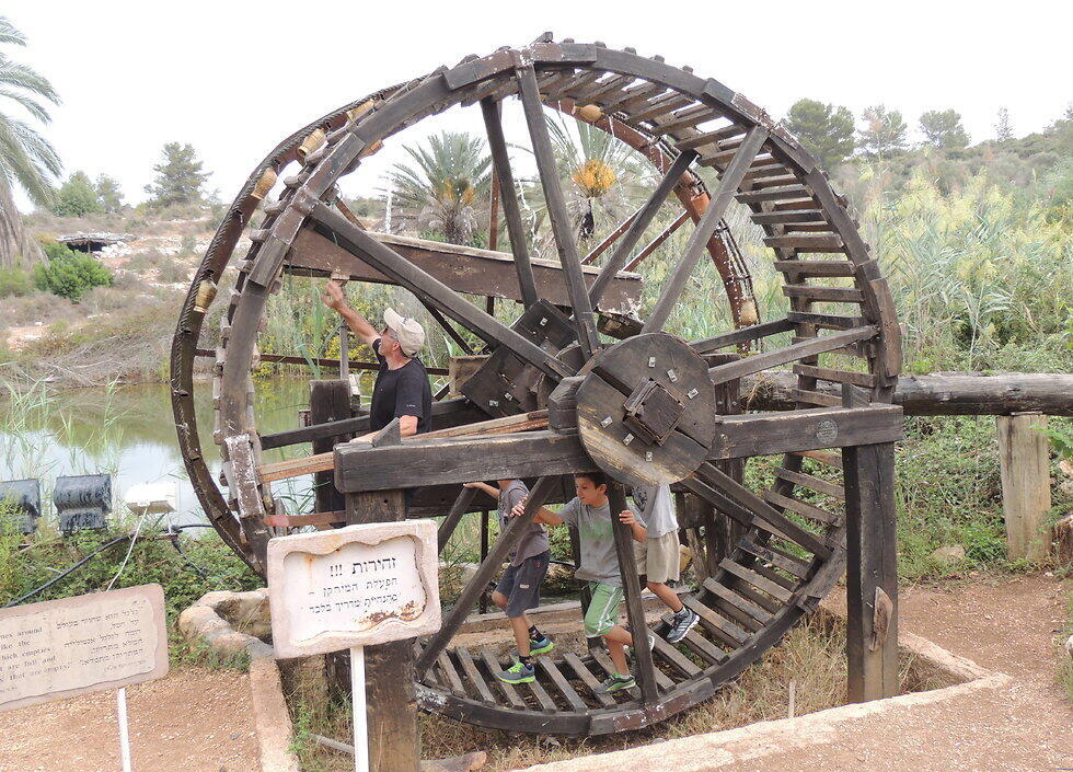 Фото: пресс-служба Неот-Кдумим