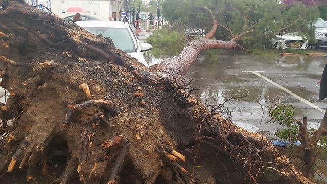 Фото: региональный совет Эмек ха-Ярден