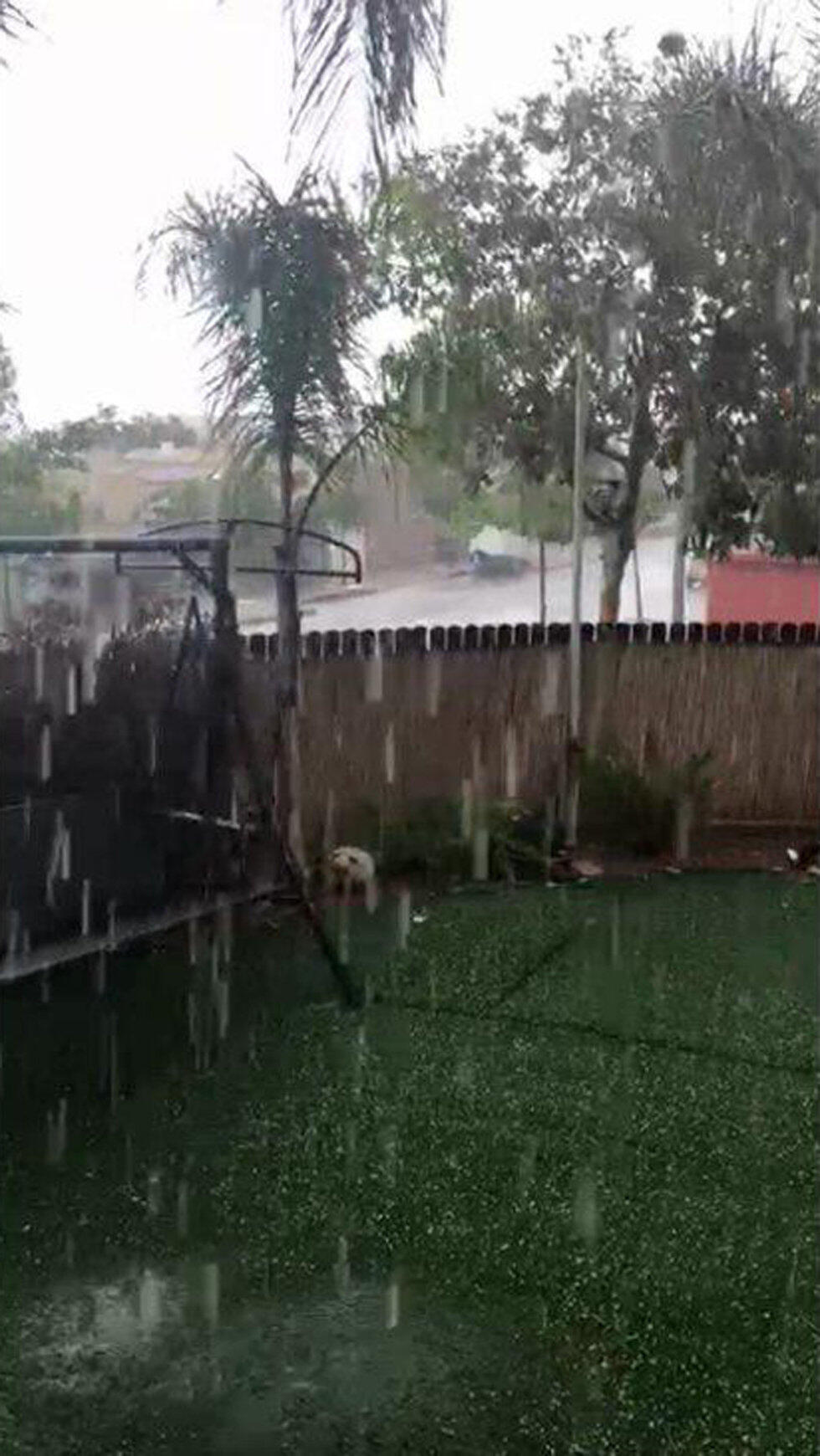 Дождь и град в Иерухаме. Фото: Янив Афута