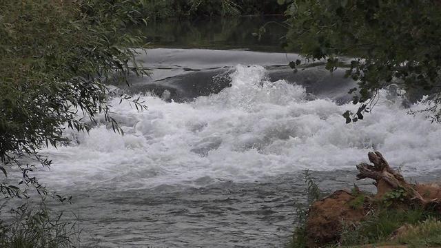 Фото: Авиягу Шапира