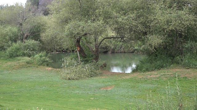 Фото: Авиягу Шапиро (צילום: אביהו שפירא) Фото: Авиягу Шапиро