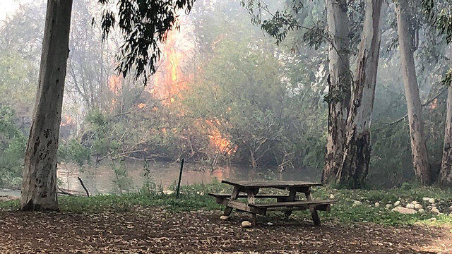 Пожар в национальном парке Мекорот ха-Яркон под Петах-Тиквой. Фото: Меира Плачи (Управление парков)