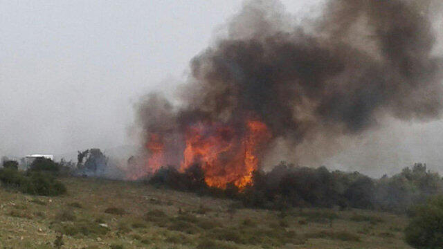 Пожар в районе Далият-эль-Кармель. Фото: Квуцат ха-хадашот