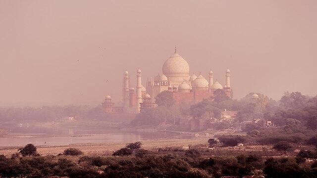 Фото: shutterstock (צילום: shutterstock) Фото: shutterstock