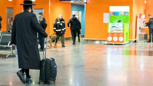  Фото: shutterstock