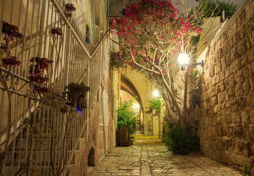 Фото: shutterstock (shutterstock) Фото: shutterstock