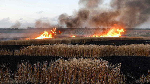 Fire caused by incendiary kites flown to Israel from Gaza