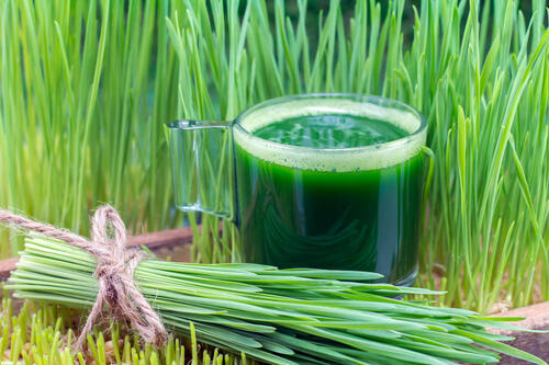 Фото: shutterstock (shutterstock) Фото: shutterstock