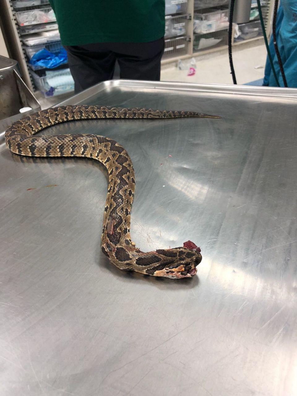 Фото от Ахие Рабадаnullnull Фото от Ахие Рабада