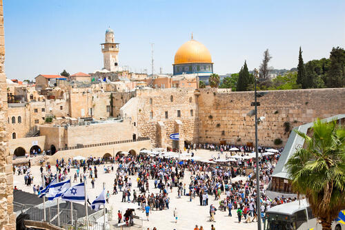 Фото: shutterstock