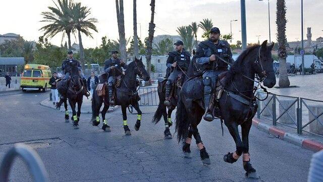 Фото: пресс-служба полиции
