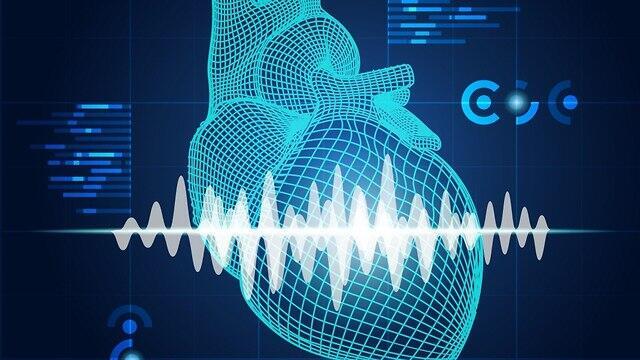 Фото: shutterstock