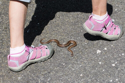 Фото: shutterstock (Фото: shutterstock) Фото: shutterstock