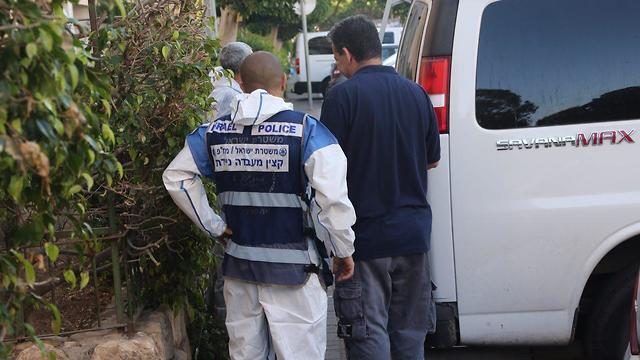 צילום: מוטי קמחי