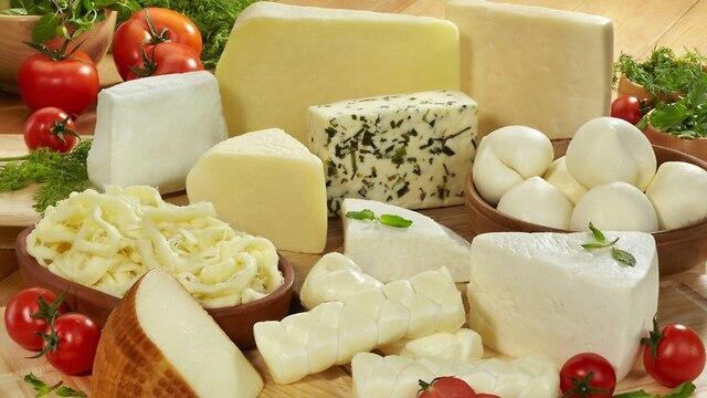  Израильские сыры. Фото: shutterstock