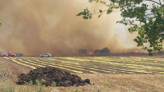 Фото: Яара Леви (צילום: יערה לוי) Фото: Яара Леви