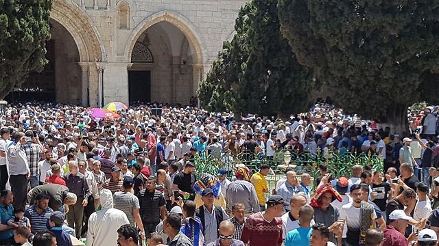 Фото: Хасан Шалан (צילום: חסן שעלאן) Фото: Хасан Шалан