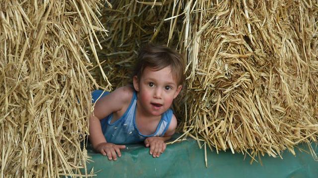 Traditional festivities