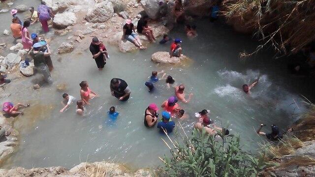 Фото: пресс-служба Управления национальных заповедников и парков