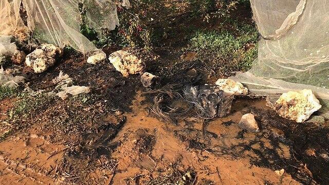 Предоставлено Кфар-Эцион (באדיבות כפר עציון) Предоставлено Кфар-Эцион