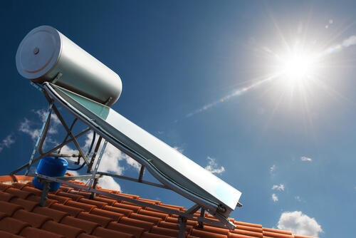 Фото: shutterstock