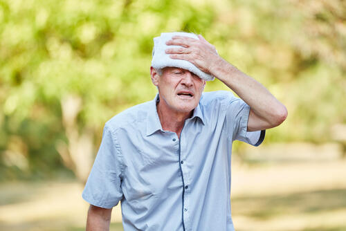 Фото: shutterstock