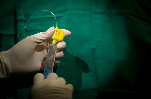 Фото: shutterstock