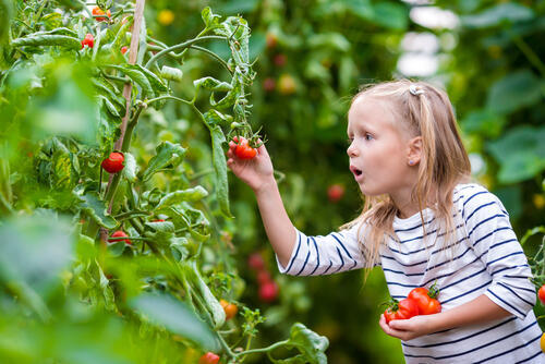 Фото: shutterstock