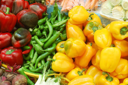 Фото: shutterstock