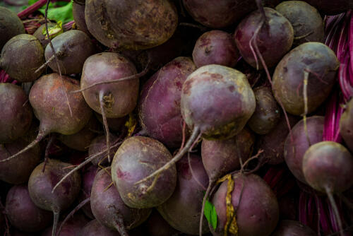 Фото: shutterstock
