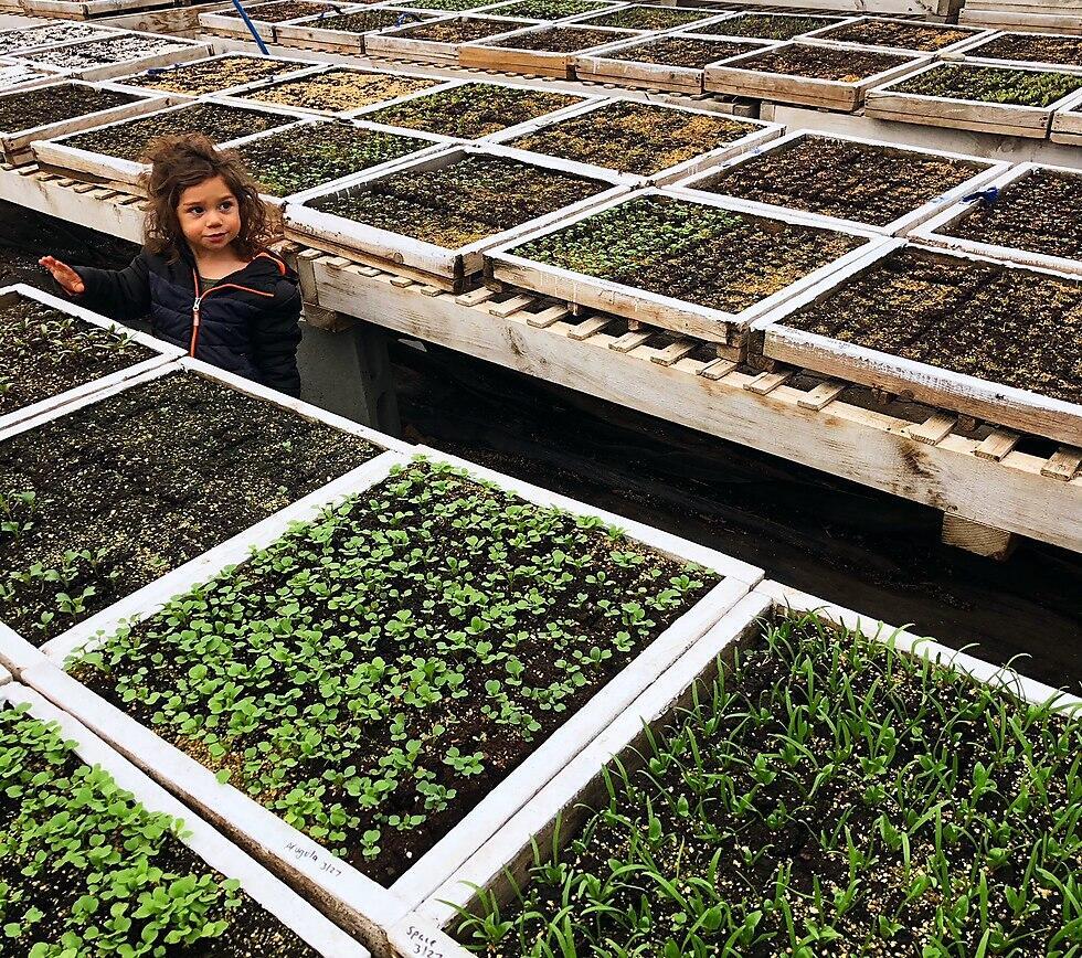 Eliza Levis. ‘I don't impose anything on my children’ 