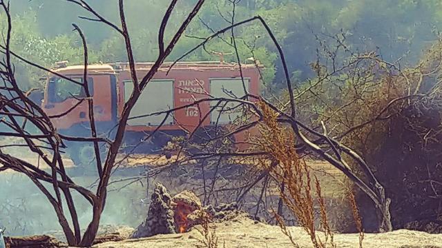 Damage from fire at Karmia Nature Reserve nullnull Damage from fire at Karmia Nature Reserve