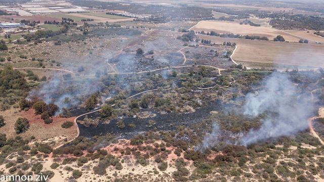Fires across Karmiya Reserve amid incendiary kites flown from Gaza 