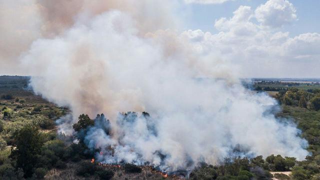 Thick smoke covers the area 