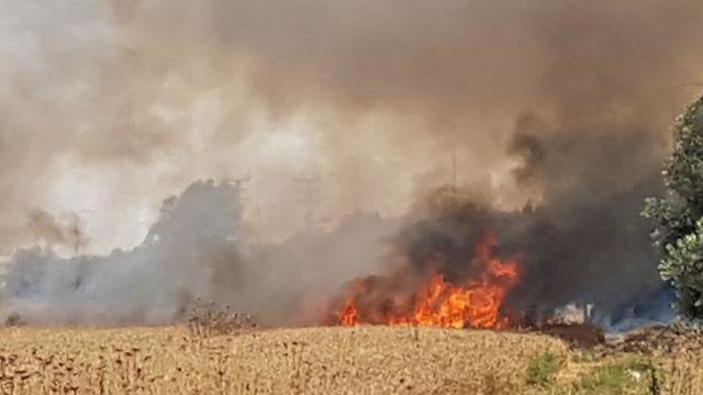 Fires sparked by incendiary kites (צילום: בראל אפרים) Fires sparked by incendiary kites