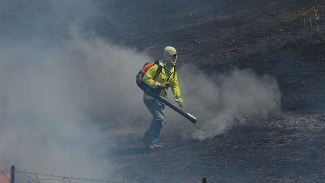 Израильские пожарные тушат возгорание из-за змеев. Фото: Ави Роках (צילום: אבי רוקח) Израильские пожарные тушат возгорание из-за змеев. Фото: Ави Роках