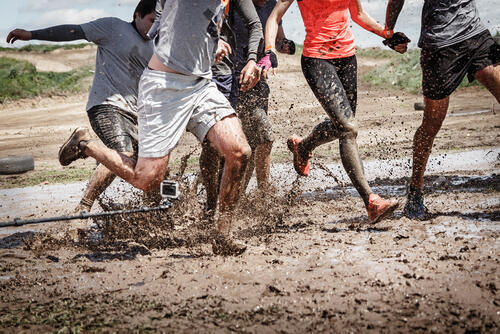 Фото: shutterstock