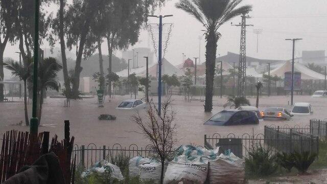 Фото: Шани Трабелси