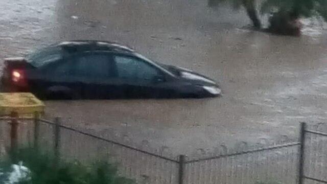 Фото: Шани Трабелси