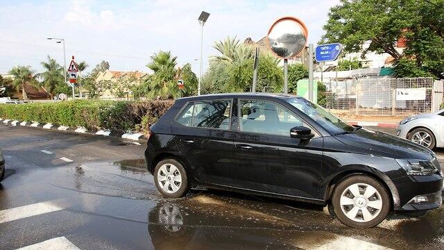 Фото: Ави Муалем (צילום: אבי מועלם) Фото: Ави Муалем