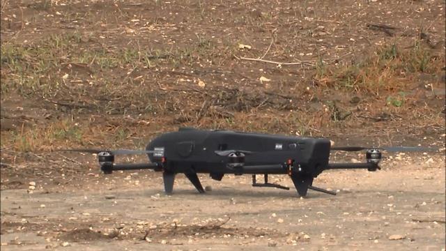 Фото: "Тaасия aвирит"