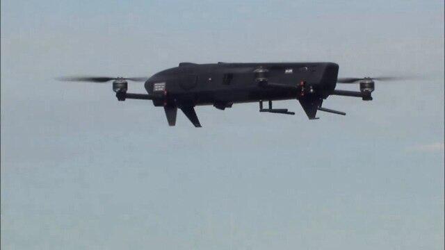 Фото: "Таaсия aвирит"