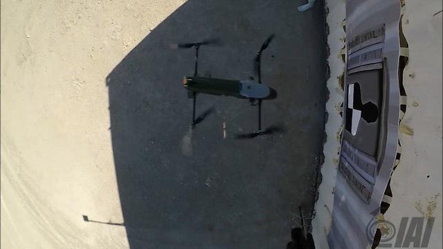 Фото: "Таaсия aвирит"