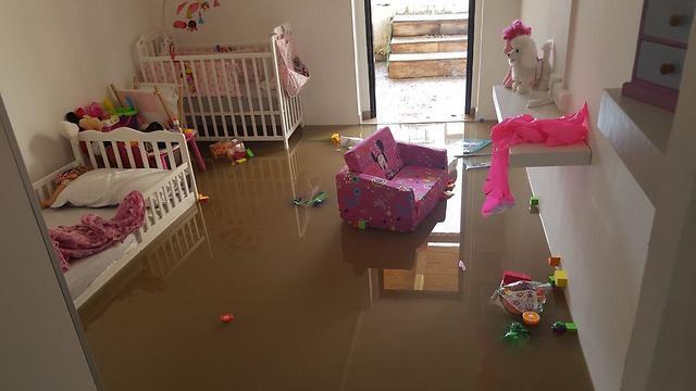 Фото: Барэль Эфраим