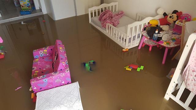 Фото: Барэль Эфраим