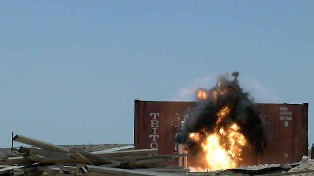 Фото: "Таaсия aвирит"